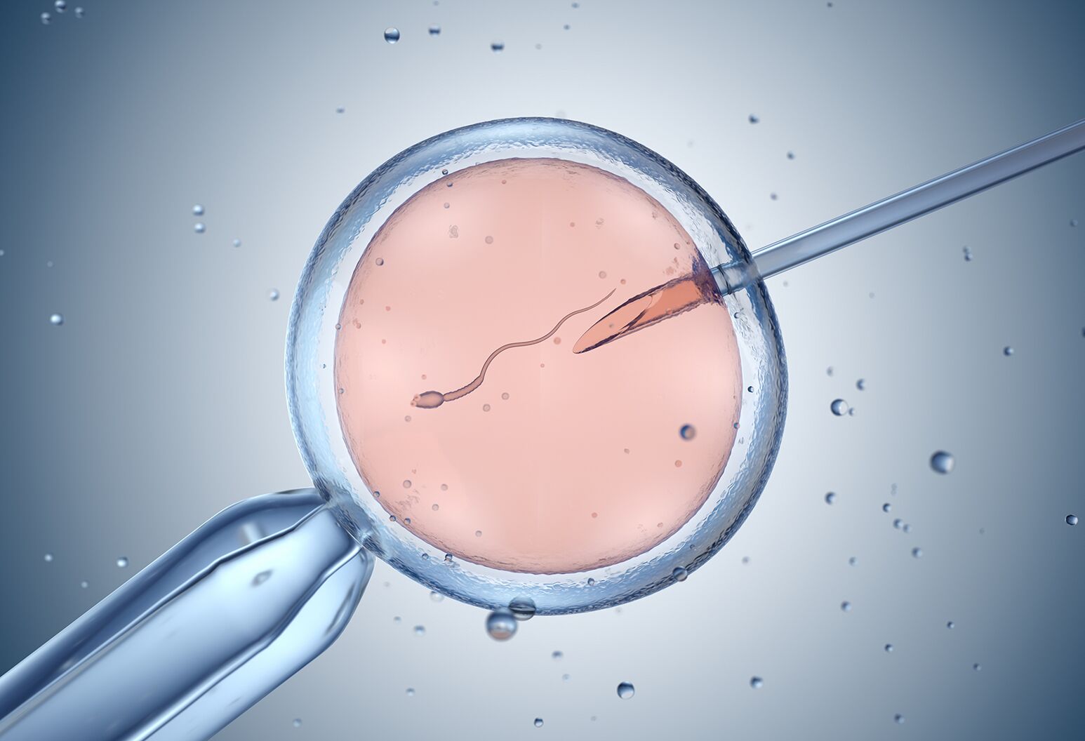 In Vitro Fertilization: There Is More Than Meets The Eye